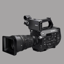 Cameras capable of RAW